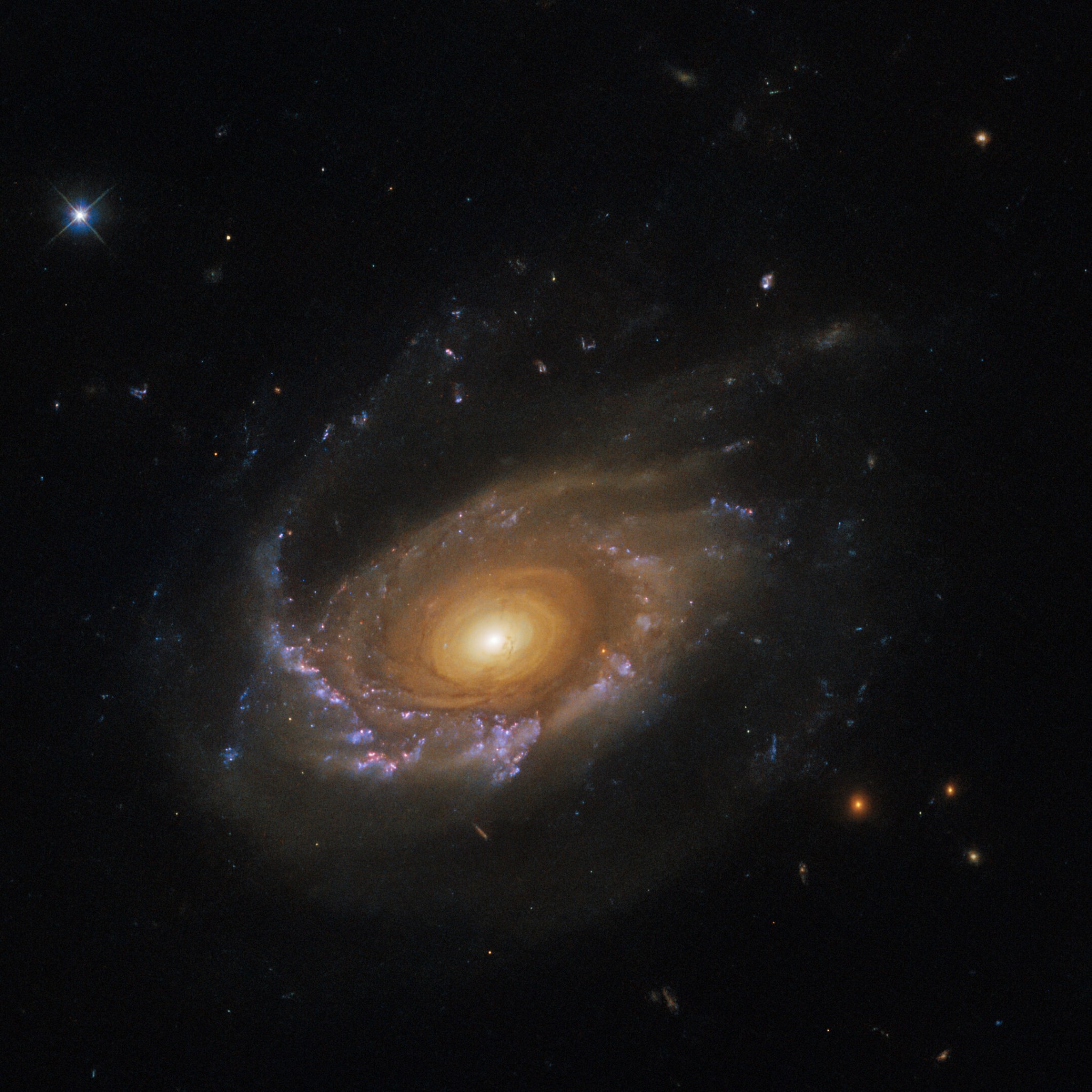 Large spiral galaxy at center. Its core surrounded by concentric rings of dark and light dust. Its spiral arms hold grey dust and blue areas of star formation. Part of the arm is drawn out above the galaxy. Dust from the arm trails off to the right.