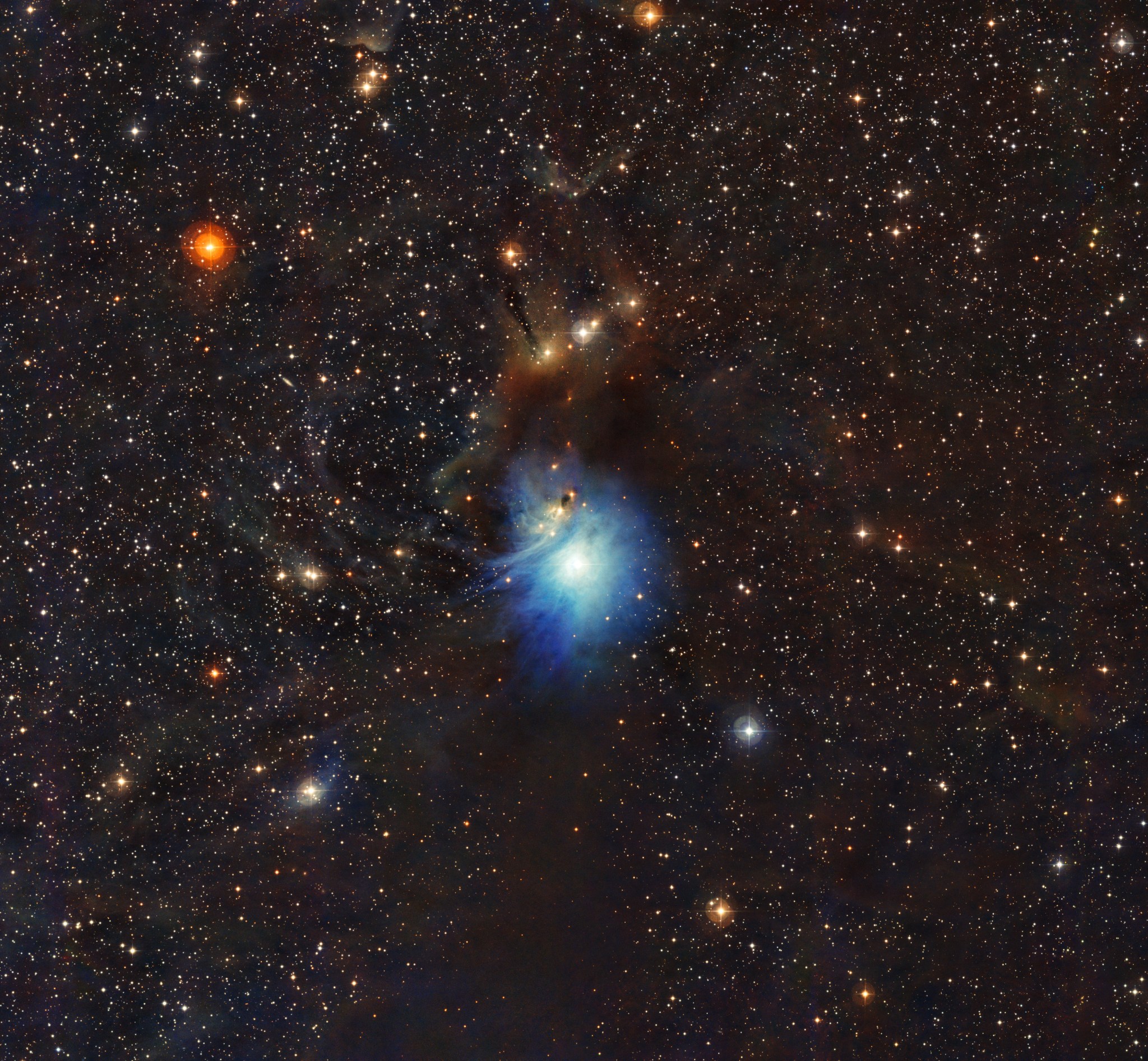 Blue light from a newborn star lights up the reflection nebula IC 2631. This nebula is part of the Chamaeleon star-forming region, which Webb will study to learn more about the formation of water and other cosmic ices.
