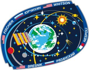 Expedition 52 Insignia