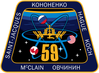 Expedition 59 Insignia