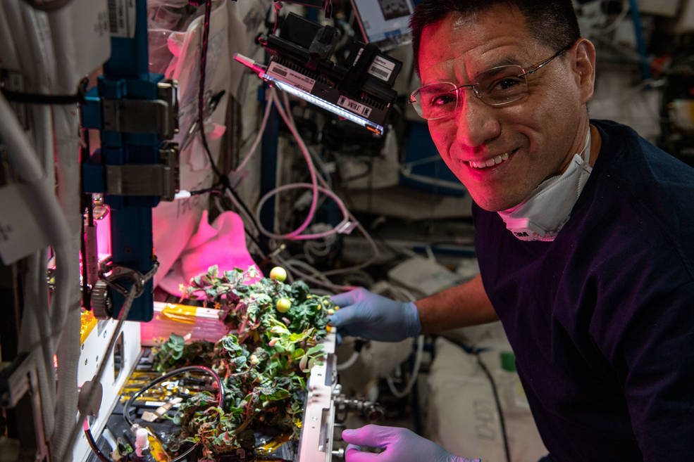 NASA astronaut Frank Rubio performs fluid management and seed cartridge/plant inspections on the eXposed Root On-Orbit Test System (XROOTS) payload.