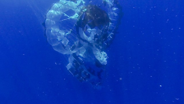 The Supersonic Disk Sail Parachute, one of the new technologies being developed as part of NASA's Low-Density Supersonic Decelerator (LDSD) project, floats in the Pacific Ocean after the completion of its first flight test, on June 28, 2014.