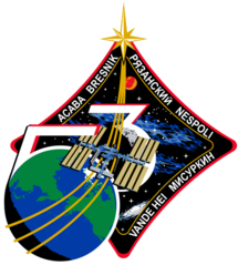 Expedition 53 Insignia