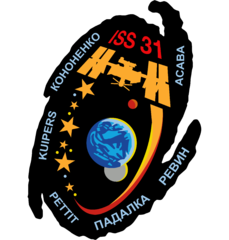 Expedition 31 Insignia