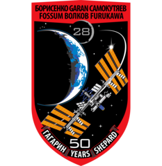 Expedition 28 Insignia