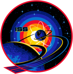 Expedition 63 Insignia