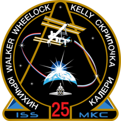 Expedition 25 Insignia
