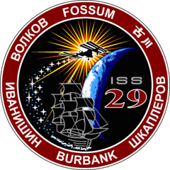 Expedition 29 Insignia
