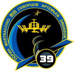 Expedition 39 Insignia
