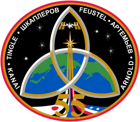 Expedition 55 Insignia