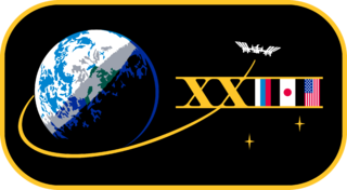 Expedition 23 Insignia