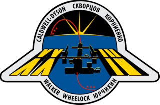 Expedition 24 Insignia