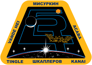 Expedition 54 Insignia