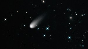 Bright spots of varying sizes pop from a pitch-black background. These are galaxies and stars as seen through NASA’s Hubble Space Telescope. At the forefront, the biggest bright spot, which appears smeared, like it's moving down the image, is Comet ISON, which is streaking across the sky, enveloped by a dusty halo.