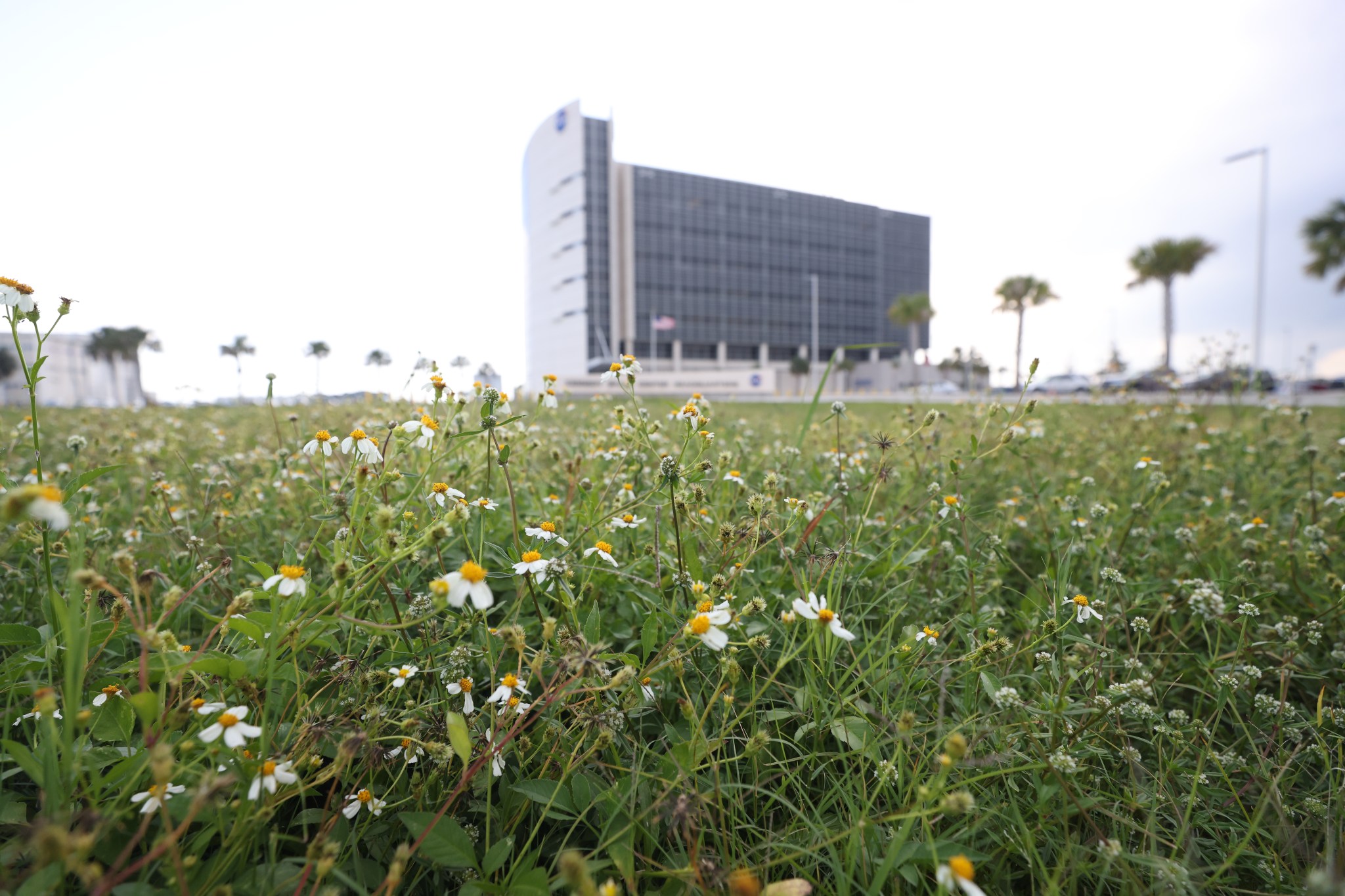 Wildflowers are in view near the Central Campus Headquarters building at NASA’s Kennedy Space Center in Florida.