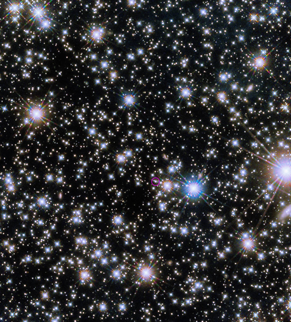 A field of stars of varying sizes are scattered across a black background. A magenta circle surrounds a small spot of light in the lower half of the image.