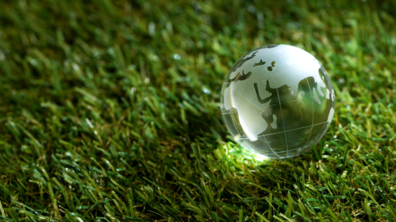 glass globe on grass