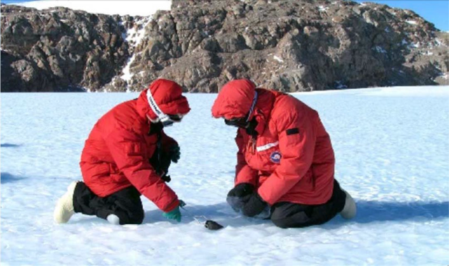Scientists gather meteorites in Antarctica