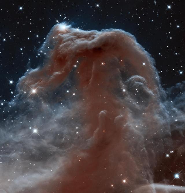 Hubble's view of the Horsehead Nebula
