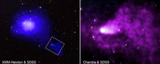 Two images side by side. One purple / blue with a white center and the other a purple pink.