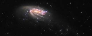 The jellyfish galaxy JO206 trails across this image from the NASA/ESA Hubble Space Telescope, showcasing a colorful star-forming disk surrounded by a pale, luminous cloud of dust.