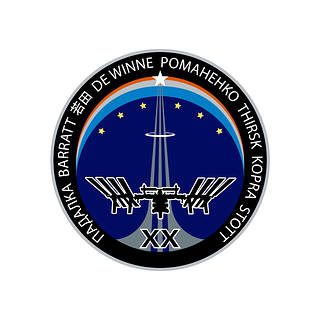 Expedition 20 Insignia