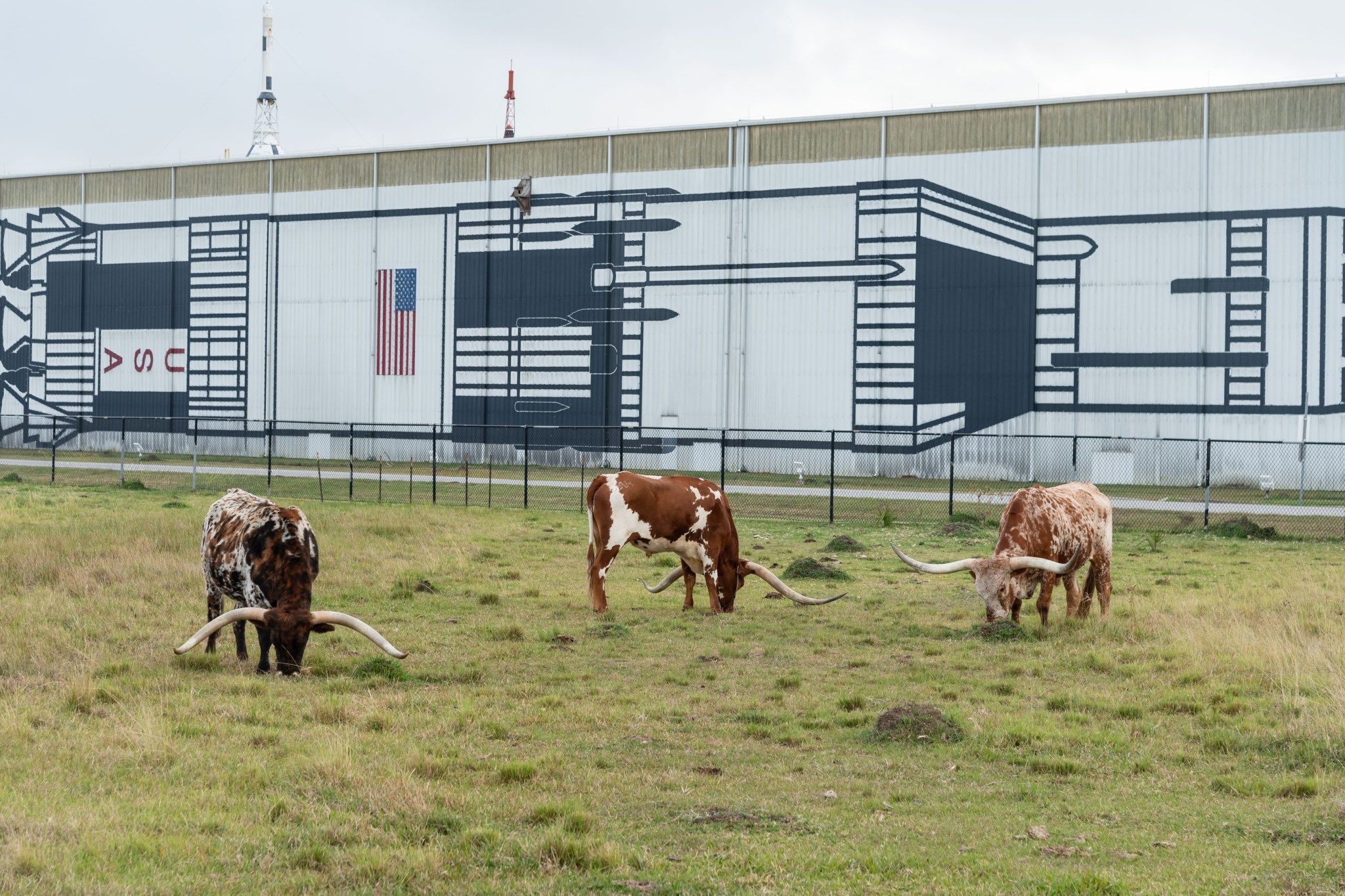 View of the George W.S. Abbey Rocket Park at NASA’s Johnson Space Center in Houston. Longhorn cattle are seen grazing beside the building.