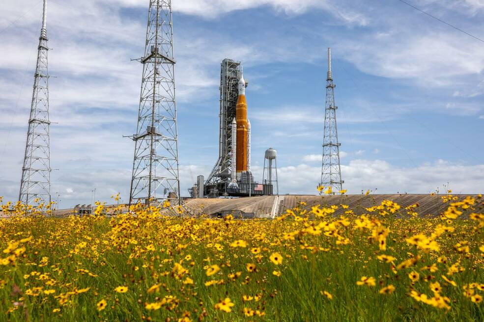 A field of Coreopsis, Floridas state wildflower, is in view near Launch Pad 39B at NASAs Kennedy Space Center in Florida.