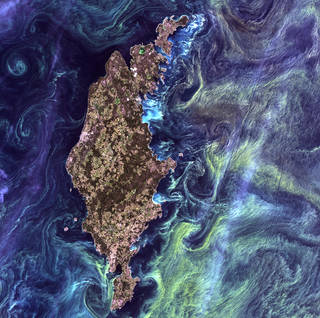 A brown and green island, centered in the middle of the image, surrounded by a dark blue ocean with wispy swirls of greens and teals that illustrate blooms of phytoplankton.