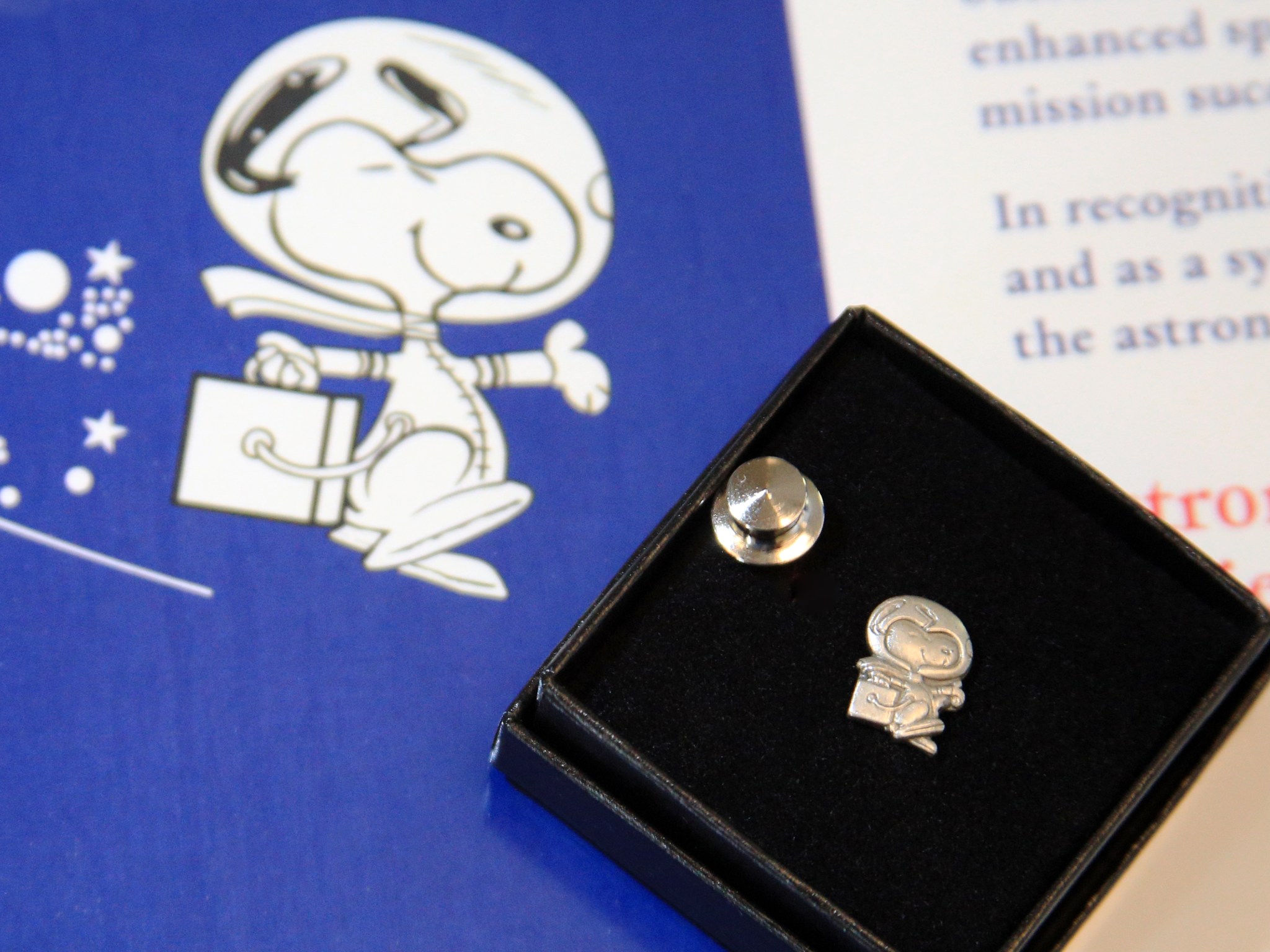 Picture of Silver Snoopy award