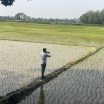Bangladesh Department of Agricultural Extension official using SERVIR’s GeoFairy App to survey a rice paddy, Manikganj, Bangladesh.