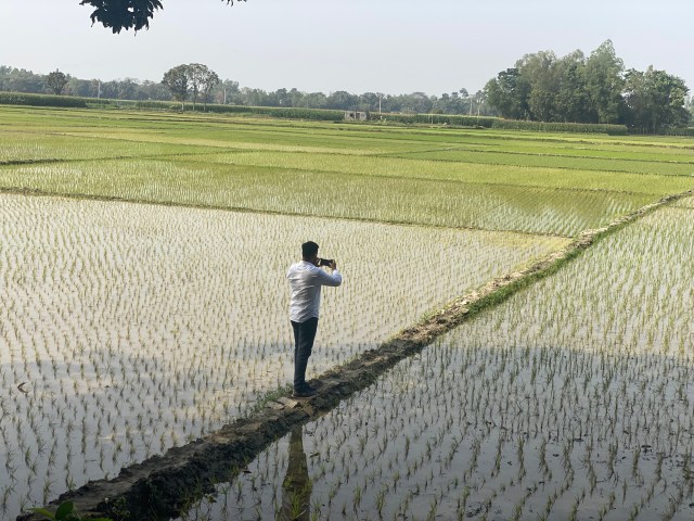 Bangladesh Department of Agricultural Extension official using SERVIR’s GeoFairy App to survey a rice paddy, Manikganj, Bangladesh.