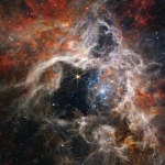 Tarantula nebula captured by james webb