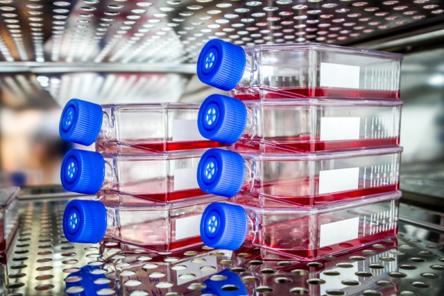 Seven clear, rectangular bottles with blue screw-on caps are turned on their sides and stacked in a column of three and four inside a metal incubation chamber. Inside each of the bottles is a reddish liquid.