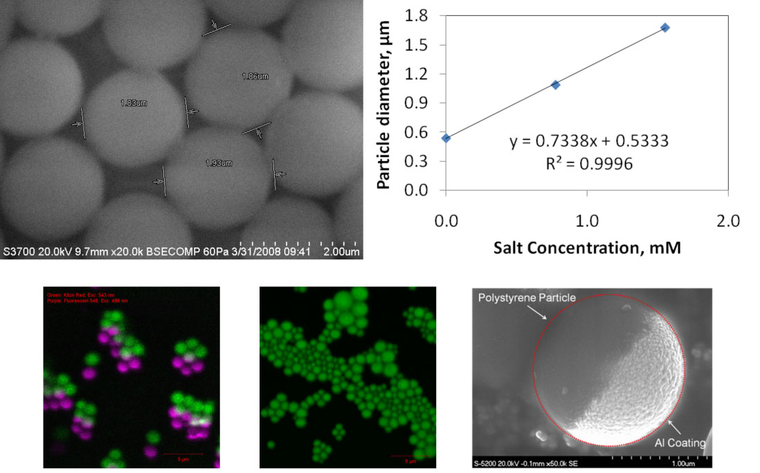 (SEM) image of PSLs, chart of particle diameter vs salt concentration, a smart particle, rhodamine-doped PSLs & dye-doped PSLs.