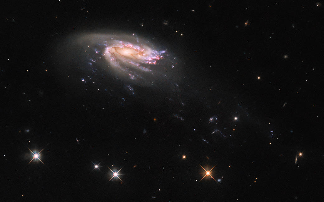 Spiral galaxy tilted partially toward us. Bright and colorful inner disk with bluish and reddish star formation throughout the arms. An outer disk of dust has many arms being pulled, down and to the right. They stretch into faint trails.