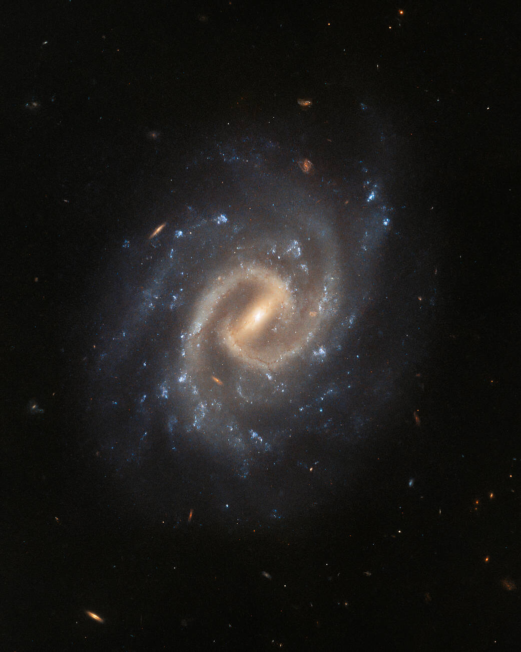 A spiral galaxy directly face-on: Two bright spiral arms extend from a bar, which shines from the center. Fainter arms branch off from these, studded with bright-blue patches of star formation. Small, distant galaxies dotted around on a dark background.