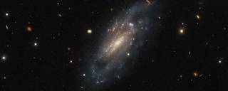 The spiral galaxy UGC 11860 seems to float serenely against a field of background galaxies in this image from the NASA/ESA Hubble Space Telescope.