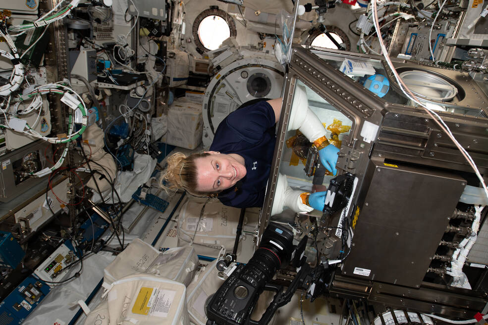 NASA astronaut Kate Rubins services samples for an earlier run of Bacterial Adhesion and Corrosion, which now looks at how spaceflight affects formation of microbial biofilms.