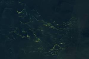 Swirling tendrils of phytoplankton—possibly Noctiluca scintillans—give a yellow glow to the shallow waters of the North Sea in this Jun 14, 2023, image from Landsat 9.