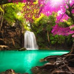 EMD homepage banner image with waterfalls and trees with bright-colored leaves