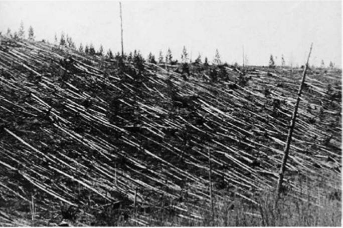 Image of the felled trees resulting from the Tunguska asteroid air blast, photographed during one the scientific expeditions in the 1920s.