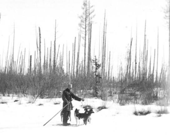 Another view from a scientific expedition showing the “telegraph pole” trees near the epicenter left standing but stripped of branches and bark.