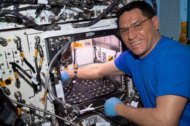 NASA astronaut and Expedition 69 Flight Engineer Frank Rubio works on thinning Arabidopsis seedlings in Plant Habitat-03 aboard the International Space Station.