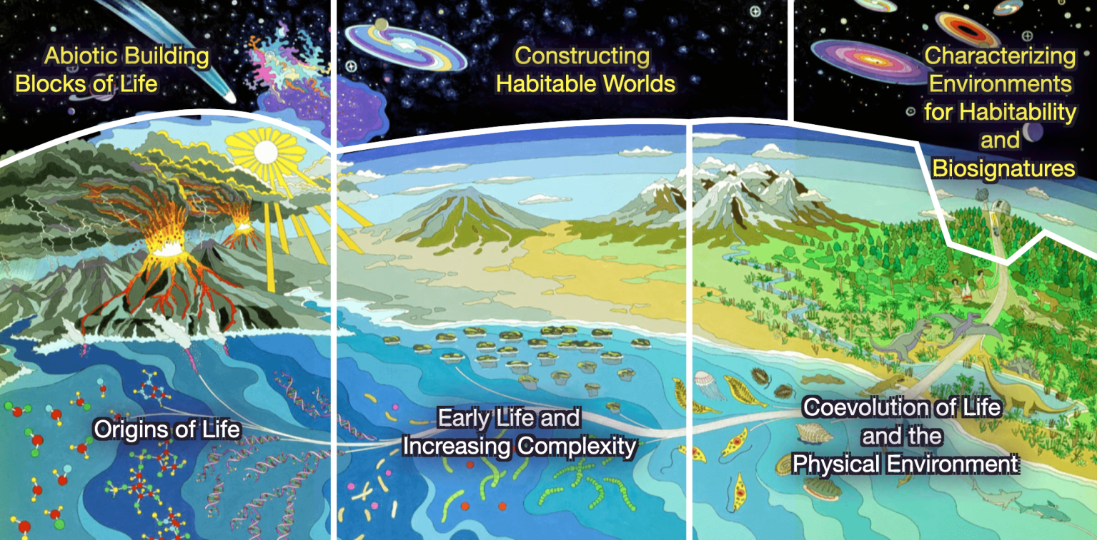 Image of AHED banner showing origins of life