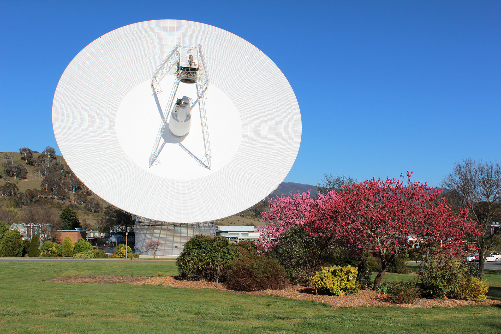 A 230-foot-wide antenna at Canberra Deep Space Communications Complex near Canberra, Australia.