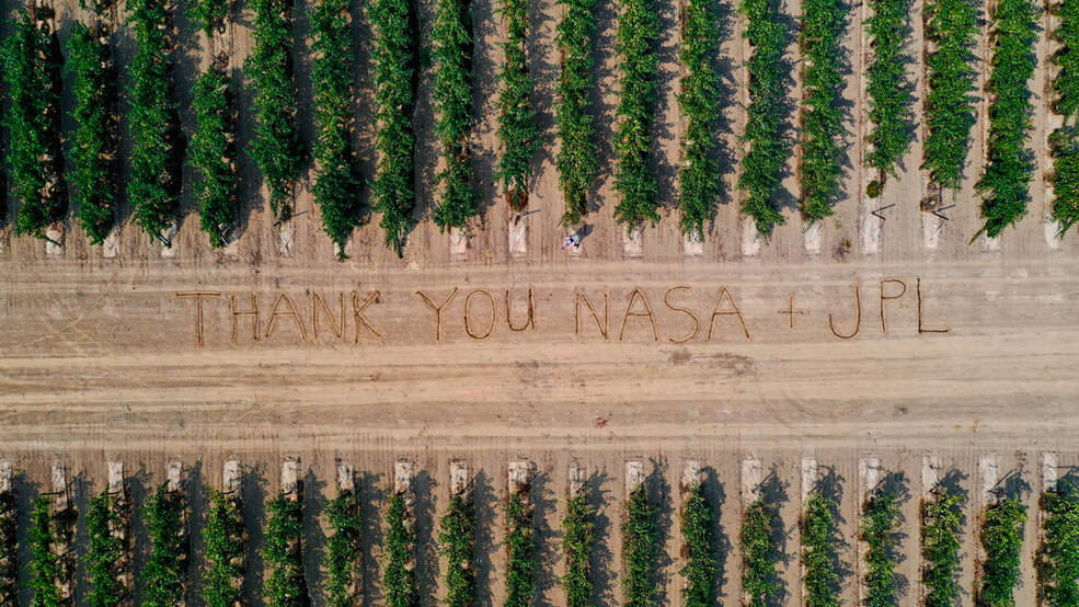 A drone captured a grateful message - "THANK YOU NASA + JPL" - written among grapevines by individuals with the wine industry who collaborated on the pathogen-spotting research in the Lodi, California, region.