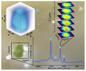 Image and 3D Raman spectral mapping of a living (green) bacterial colony that stacks and has orange and red