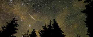 A white streak across the starry sky with dark trees in the foreground.