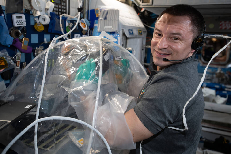 NASA astronaut Andrew Morgan works on the MVP Cell-03 investigation, which studied how microgravity affects heart cells cultured in space.